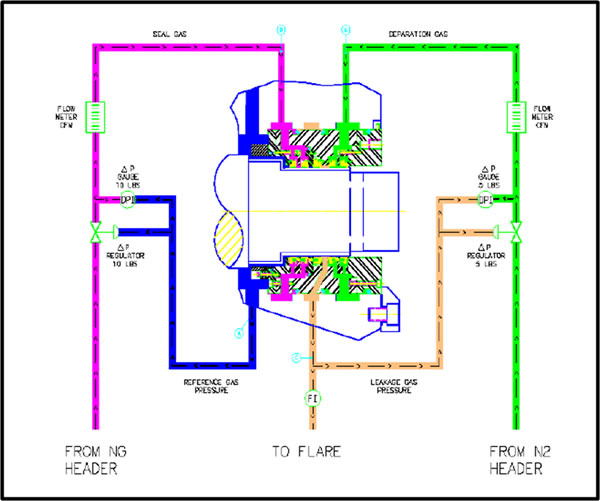 Process Compressor Gas Seals